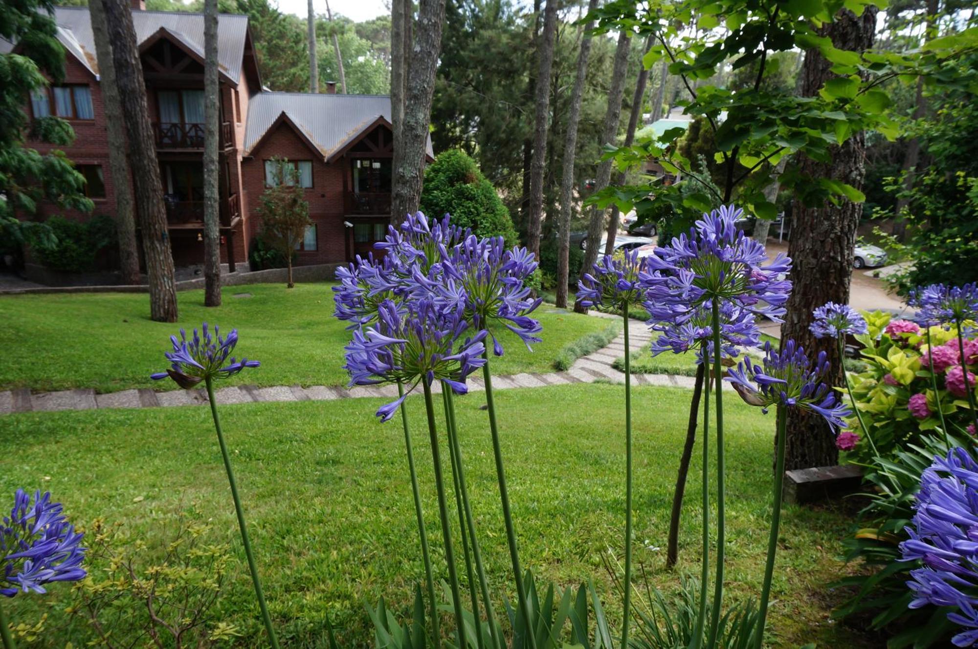 Refugio del Bosque Villa Cariló Exterior foto